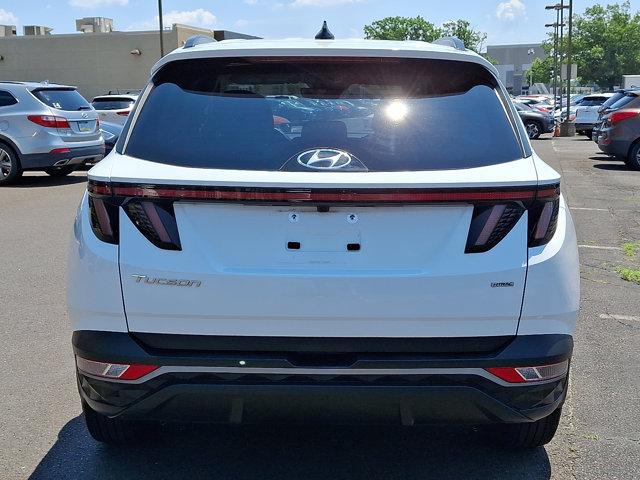 2023 Hyundai TUCSON Vehicle Photo in Philadelphia, PA 19116