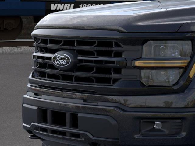 2025 Ford F-150 Vehicle Photo in Weatherford, TX 76087
