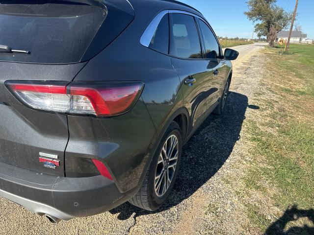 2020 Ford Escape Vehicle Photo in Pilot Point, TX 76258