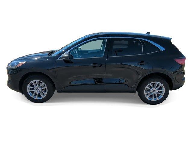 2022 Ford Escape Vehicle Photo in COLLIERVILLE, TN 38017-9006