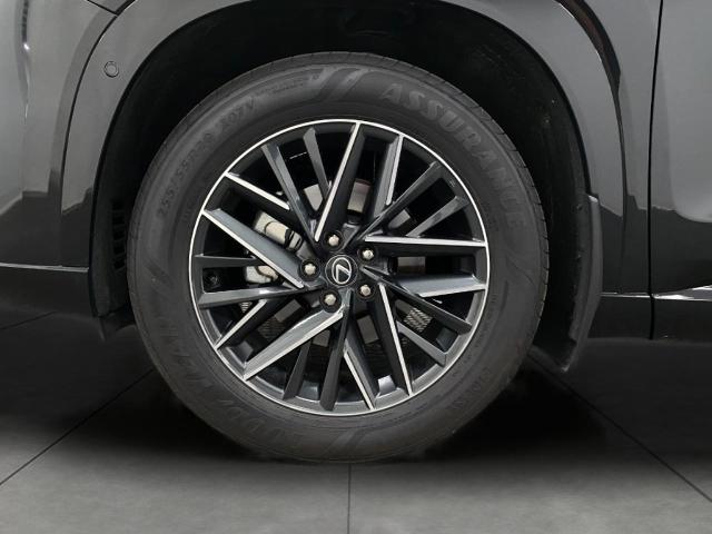 2024 Lexus TX 350 Vehicle Photo in Appleton, WI 54913