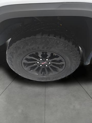 2023 GMC Sierra 1500 Vehicle Photo in OSHKOSH, WI 54904-7811