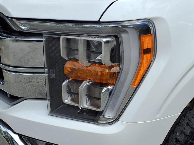 2021 Ford F-150 Vehicle Photo in San Antonio, TX 78230-1001