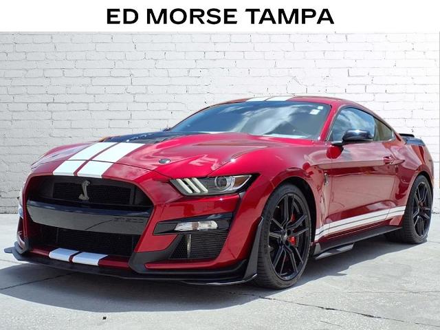 2021 Ford Mustang Vehicle Photo in Tampa, FL 33612