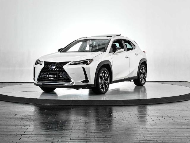 2020 Lexus UX 250h Vehicle Photo in DALLAS, TX 75235