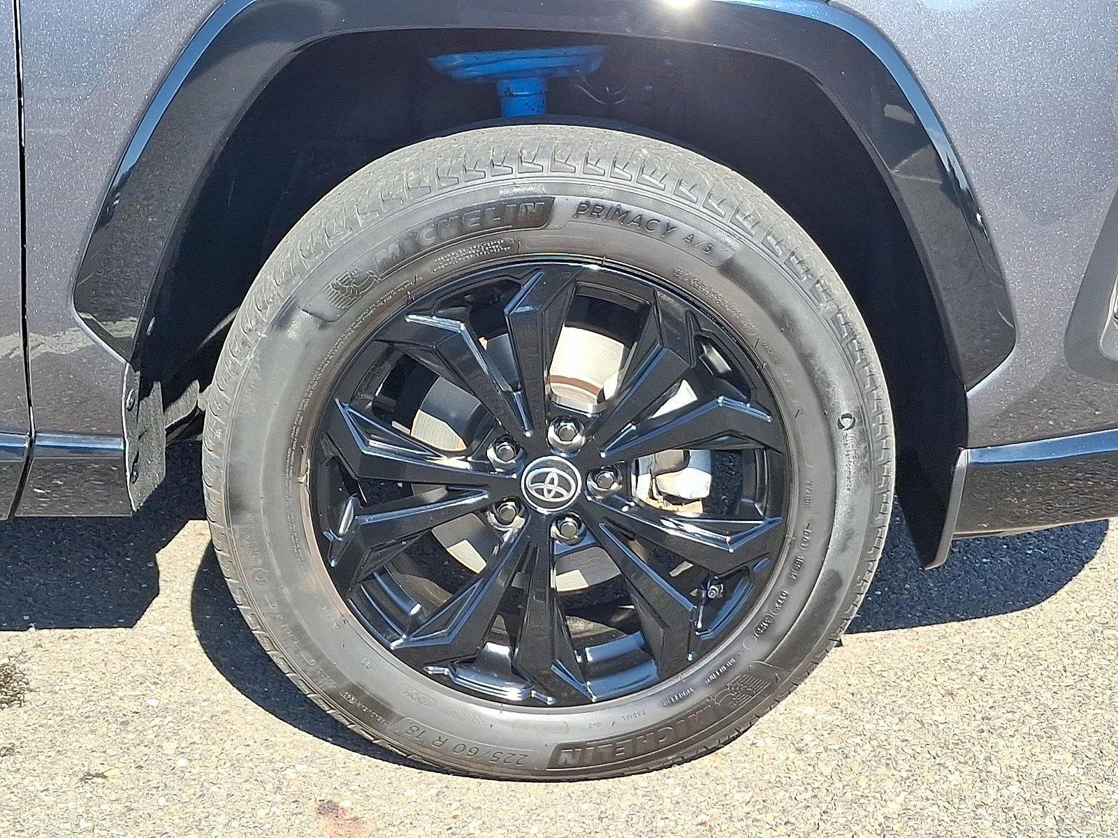 2022 Toyota RAV4 Vehicle Photo in Trevose, PA 19053