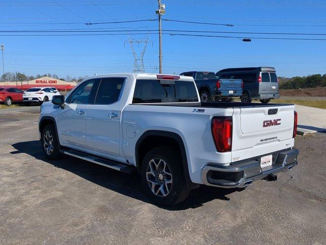 2025 GMC Sierra 1500 Vehicle Photo in ALBERTVILLE, AL 35950-0246