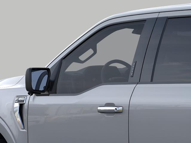 2024 Ford F-150 Vehicle Photo in Oshkosh, WI 54901