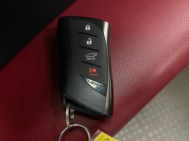 2023 Lexus RX 350 Vehicle Photo in Appleton, WI 54913