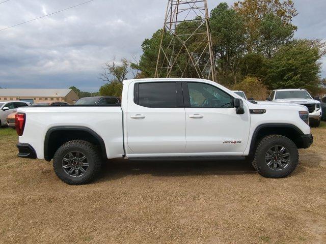 2025 GMC Sierra 1500 Vehicle Photo in ALBERTVILLE, AL 35950-0246