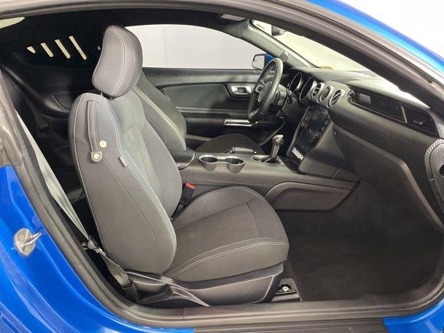 2019 Ford Mustang Vehicle Photo in PHOENIX, AZ 85014-3381