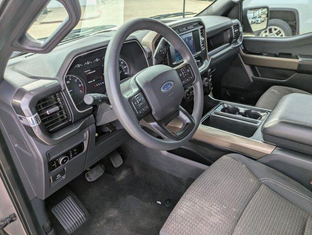 2023 Ford F-150 Vehicle Photo in SELMA, TX 78154-1460