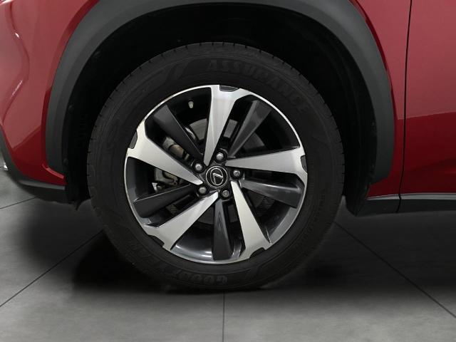 2019 Lexus NX 300 Vehicle Photo in Appleton, WI 54913