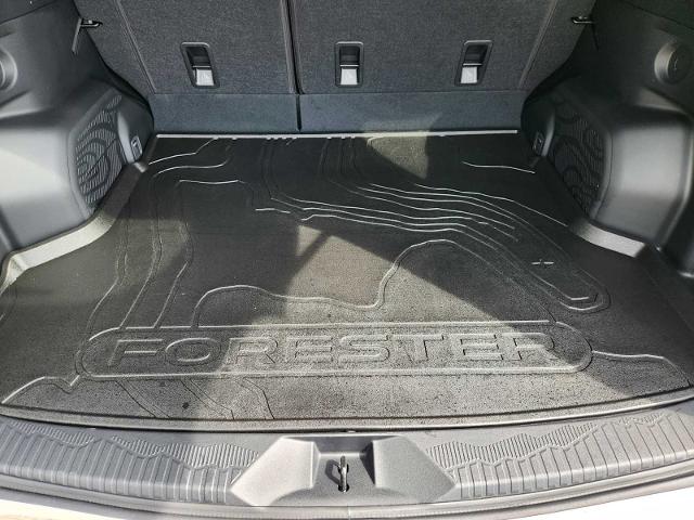 2025 Subaru Forester Vehicle Photo in DALLAS, TX 75209
