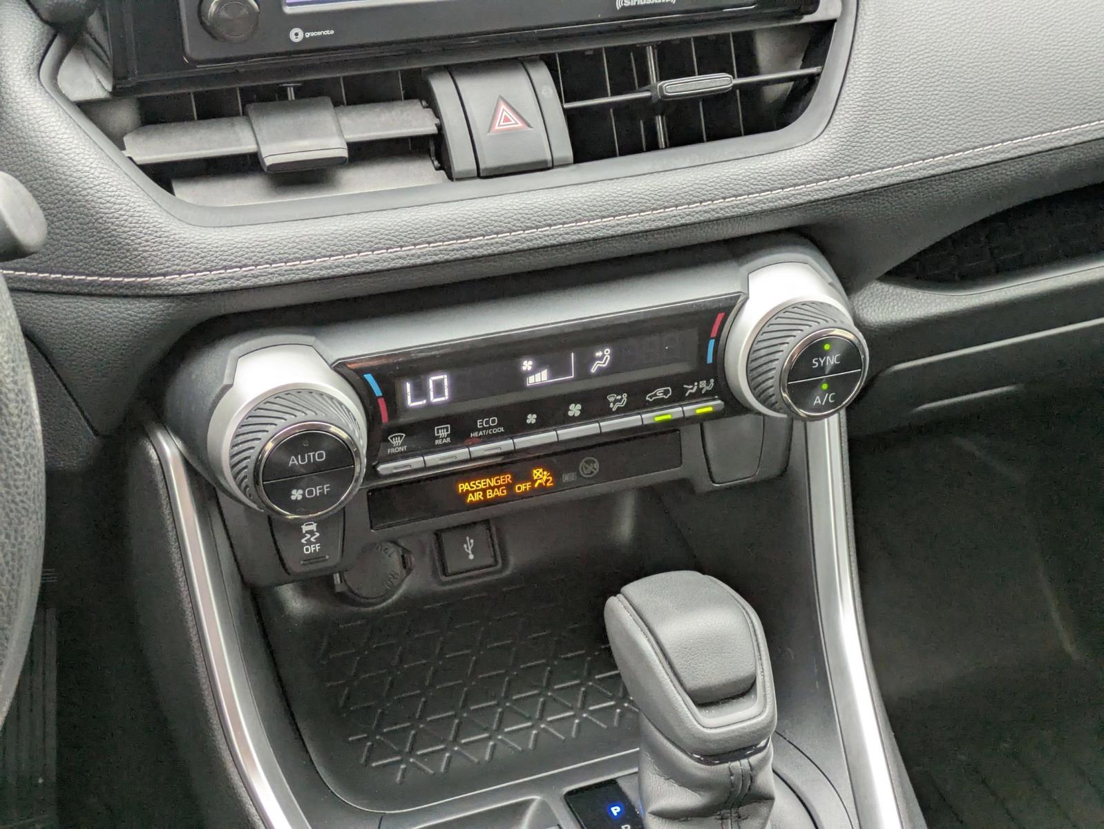 2020 Toyota RAV4 Vehicle Photo in SELMA, TX 78154-1460