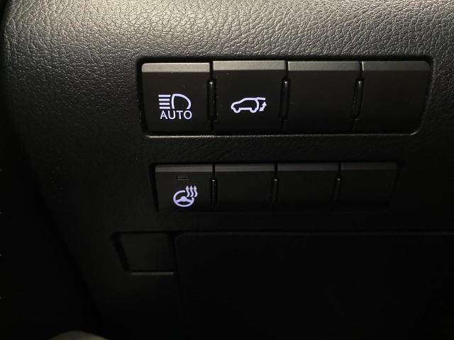 2019 Lexus RX 350L Vehicle Photo in Appleton, WI 54913