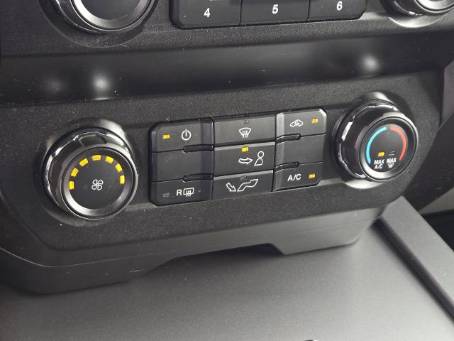2020 Ford F-150 Vehicle Photo in Weatherford, TX 76087