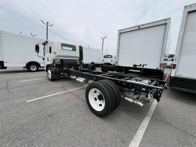 2024 Chevrolet Low Cab Forward 4500 Vehicle Photo in ALCOA, TN 37701-3235