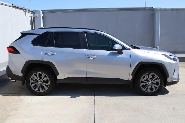 2022 Toyota RAV4 Vehicle Photo in SUGAR LAND, TX 77478