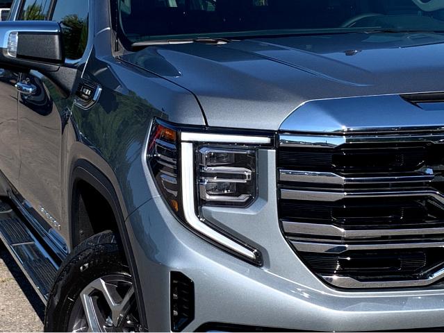 2025 GMC Sierra 1500 Vehicle Photo in BEAUFORT, SC 29906-4218
