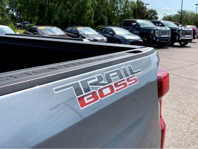 2025 Chevrolet Silverado 1500 Vehicle Photo in BEAUFORT, SC 29906-4218