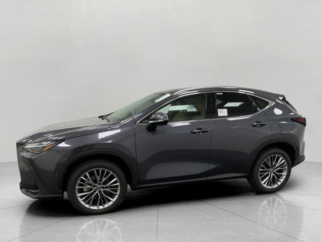 2025 Lexus NX 350 Vehicle Photo in Appleton, WI 54913