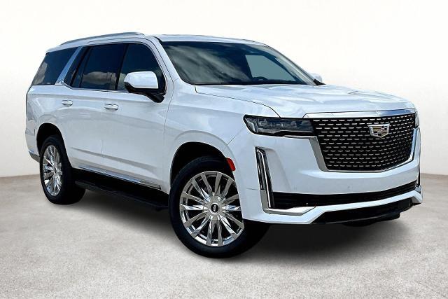 2023 Cadillac Escalade Vehicle Photo in San Antonio, TX 78230