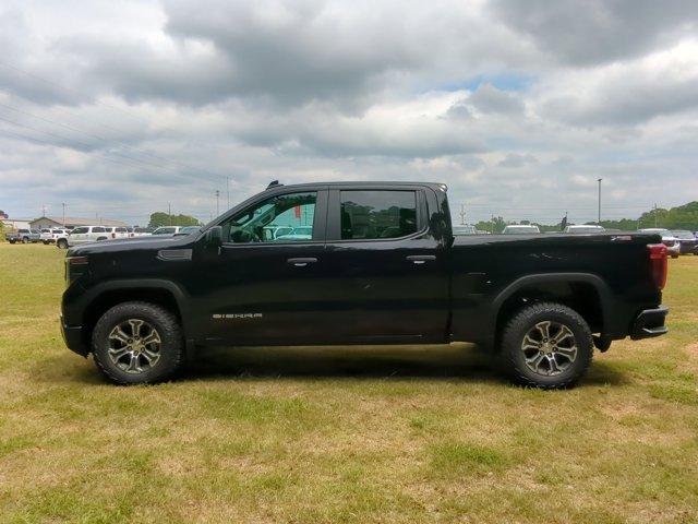 2024 GMC Sierra 1500 Vehicle Photo in ALBERTVILLE, AL 35950-0246