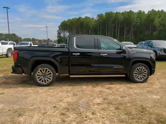 2025 GMC Sierra 1500 Vehicle Photo in ALBERTVILLE, AL 35950-0246