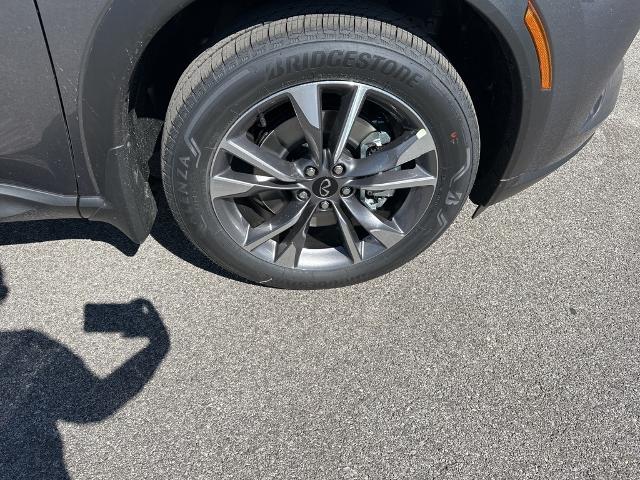 2024 INFINITI QX60 Vehicle Photo in San Antonio, TX 78230