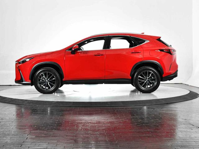 2024 Lexus NX 250 Vehicle Photo in DALLAS, TX 75235
