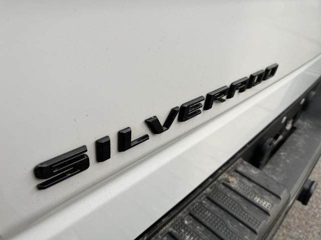 2022 Chevrolet Silverado 1500 Vehicle Photo in PITTSBURGH, PA 15226-1209