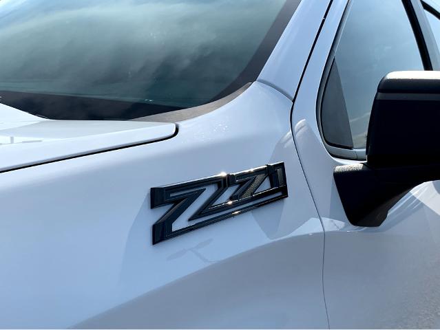 2025 Chevrolet Silverado 1500 Vehicle Photo in BEAUFORT, SC 29906-4218