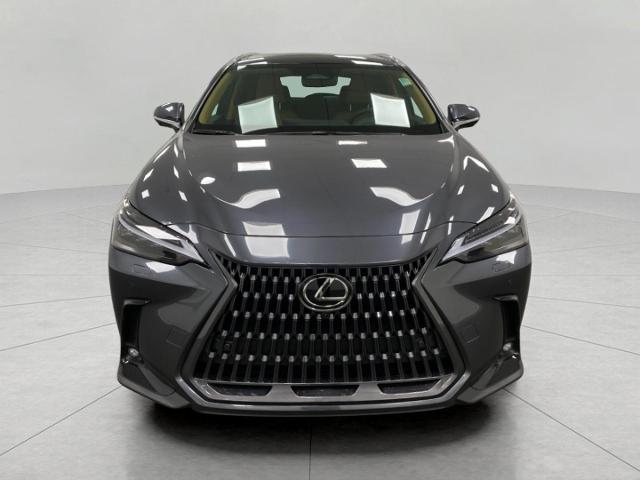 2025 Lexus NX 350h Vehicle Photo in Appleton, WI 54913