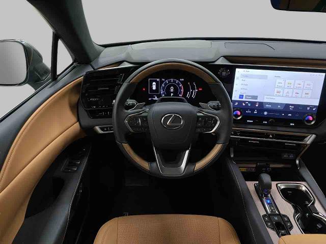 2024 Lexus RX 350 Vehicle Photo in Appleton, WI 54913