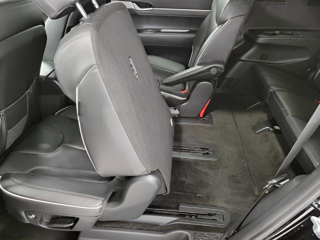 2024 Hyundai PALISADE Vehicle Photo in Oshkosh, WI 54904
