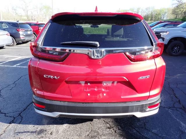 2020 Honda CR-V Vehicle Photo in ZELIENOPLE, PA 16063-2910