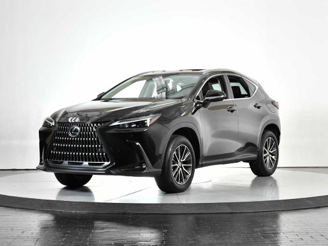 2025 Lexus NX 250 Vehicle Photo in DALLAS, TX 75235