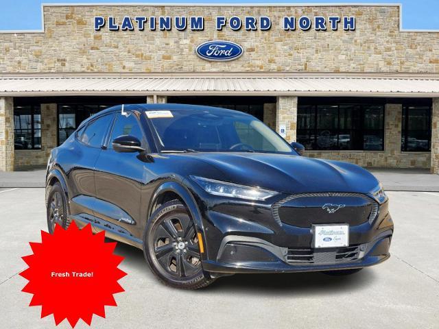 2023 Ford Mustang Mach-E Vehicle Photo in Pilot Point, TX 76258