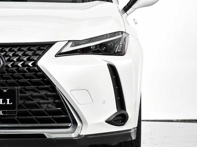 2023 Lexus UX 250h Vehicle Photo in DALLAS, TX 75235