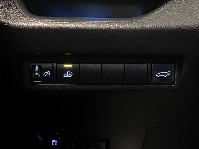 2019 Toyota RAV4 Vehicle Photo in Appleton, WI 54913