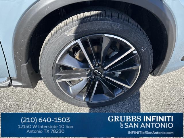 2024 INFINITI QX50 Vehicle Photo in San Antonio, TX 78230