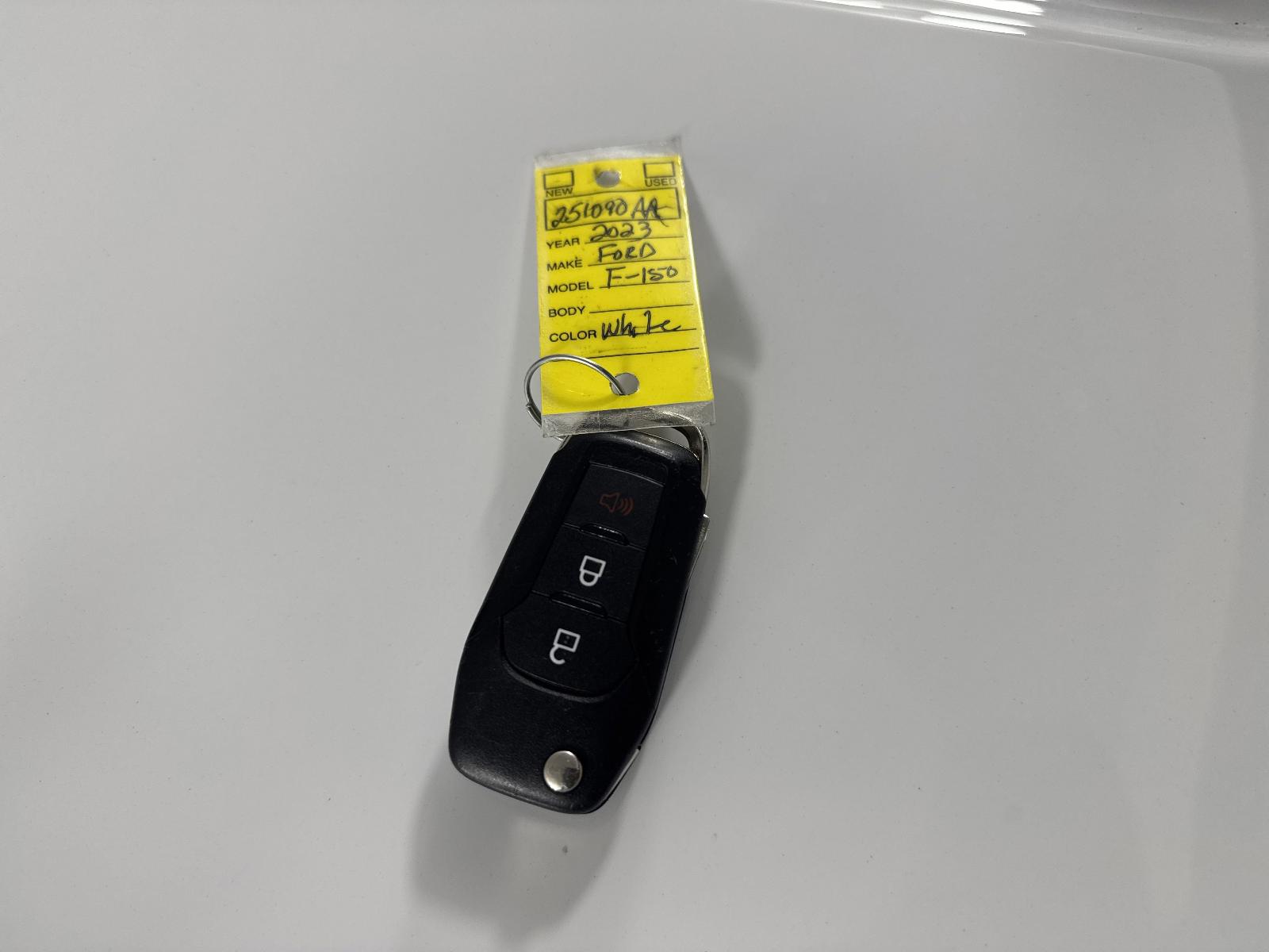 2023 Ford F-150 Vehicle Photo in GEORGETOWN, TX 78626-7508
