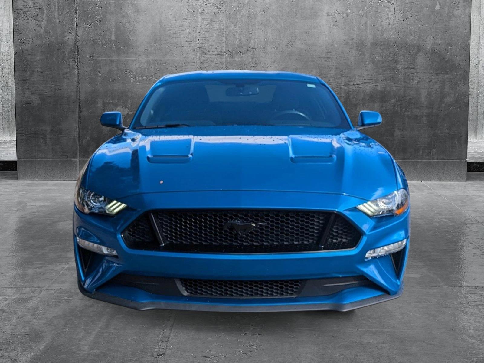 2019 Ford Mustang Vehicle Photo in Jacksonville, FL 32244