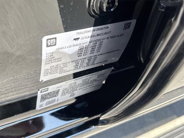 2024 GMC Sierra 1500 Vehicle Photo in ALBERTVILLE, AL 35950-0246