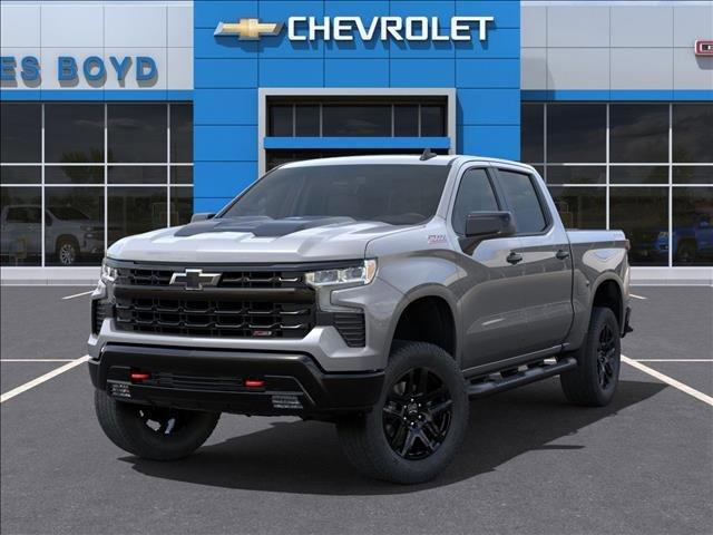 2025 Chevrolet Silverado 1500 Vehicle Photo in HENDERSON, NC 27536-2966