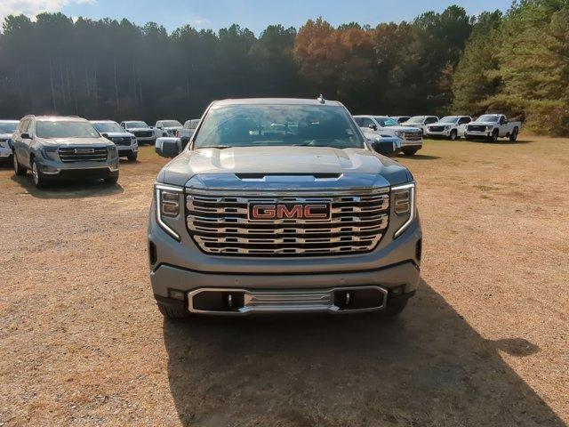 2025 GMC Sierra 1500 Vehicle Photo in ALBERTVILLE, AL 35950-0246