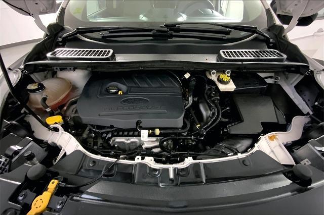 2018 Ford Escape Vehicle Photo in Lees Summit, MO 64086