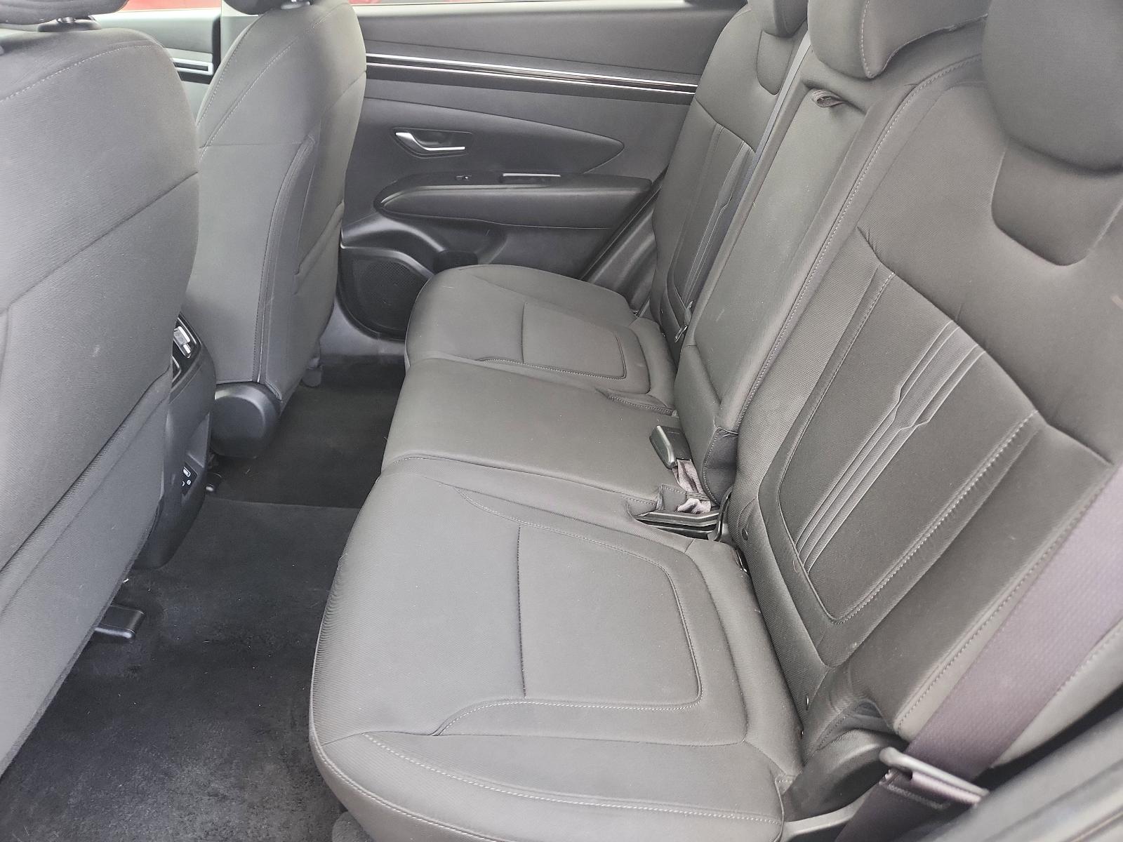 2024 Hyundai TUCSON Vehicle Photo in Albuquerque, NM 87110