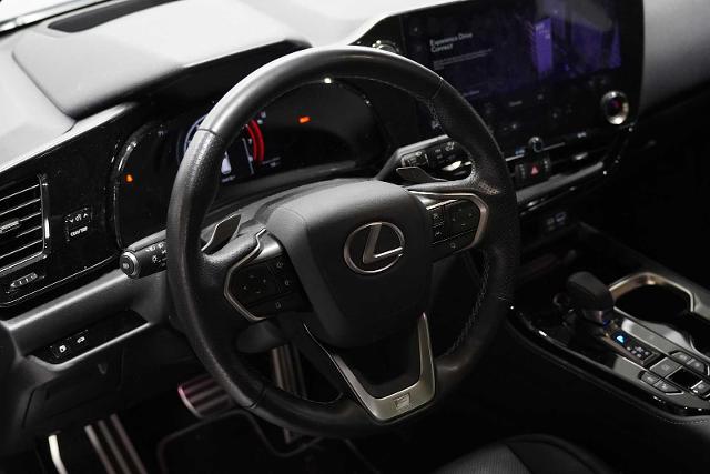 2022 Lexus NX 350 Vehicle Photo in GRAPEVINE, TX 76051